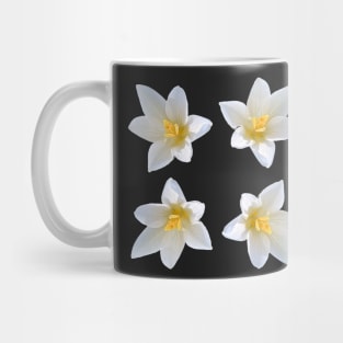 White Crocus Bouquet No Background Mug